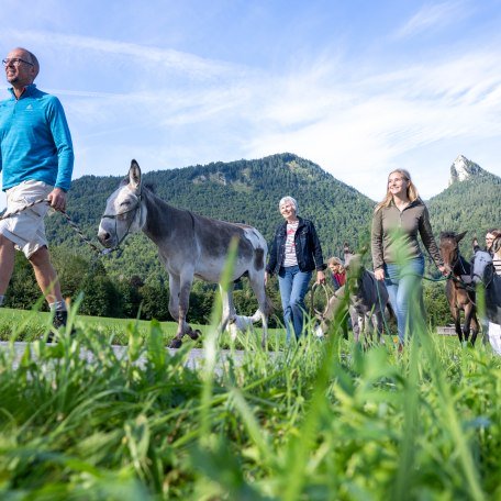 TTT_0925_TP_Eselwanderung_Kreuth_0052, &copy; Der Tegernsee- Thomas Plettenberg