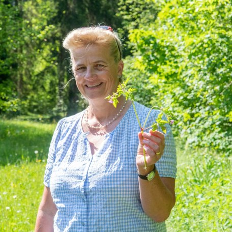 TTT_0524_TP_Event_Natuerlich Kreuth_Kraeuterwanderung_0022, &copy; TTT-Thomas Plettenberg