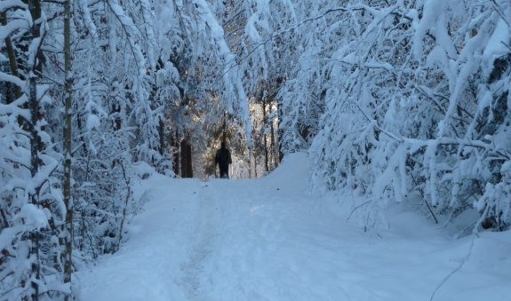 Schneeschuhtour mit Sonntagsbrunch im historischen Hasenöhrlhof, © BR Willy Kravanja