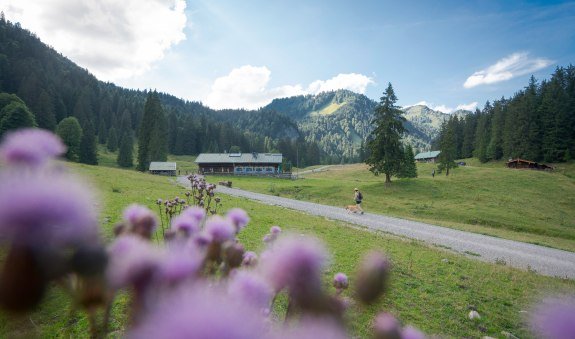 Schwarzentennalm, © Der Tegernsee