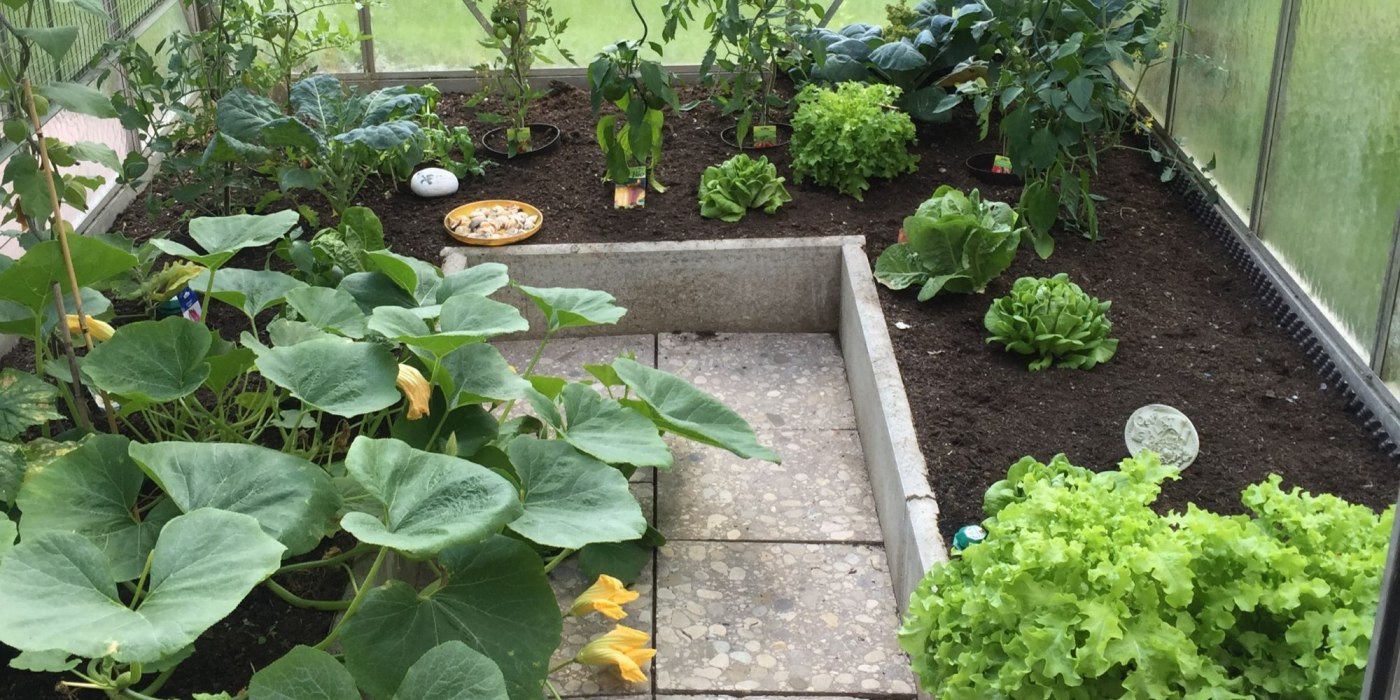 Ferienwohnungen Sennhofer 4, © Ferienwohnungen Sennhofer Ferienwohnungen Sennhofer 4, © Ferienwohnungen Sennhofer