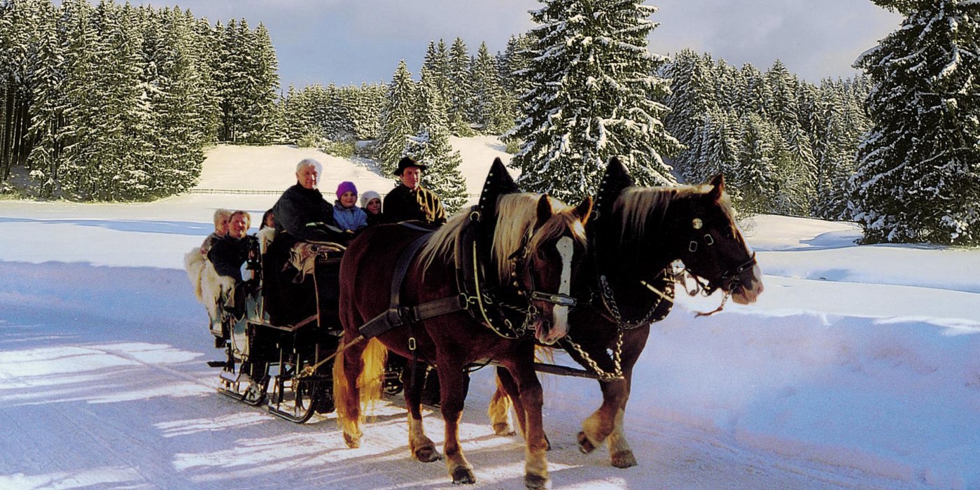 pferdekutsche_maier_quer pferdekutsche_maier_quer