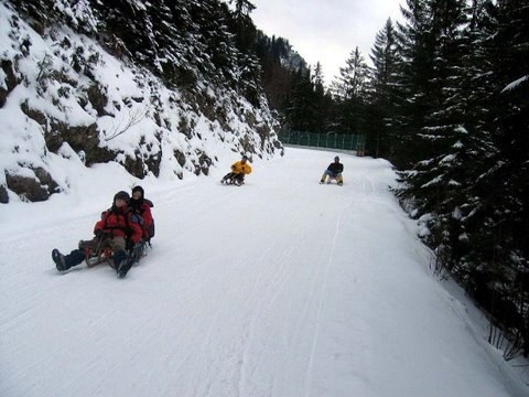 seevents_rodeln