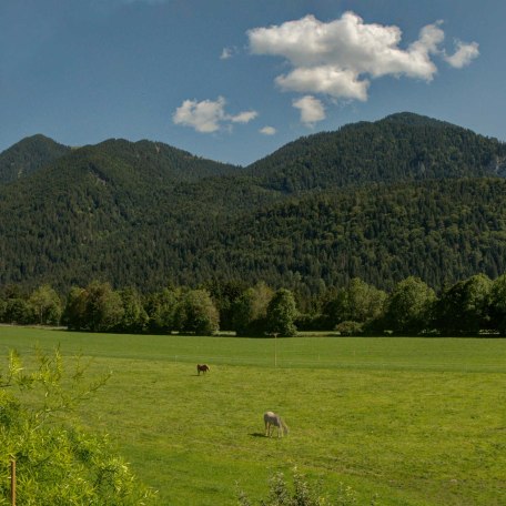 Ferienwohnung Fleischhackerhof - Ausblick vom Südbalkon, © GERLIND SCHIELE PHOTOGRAPHY TEGERNSEE