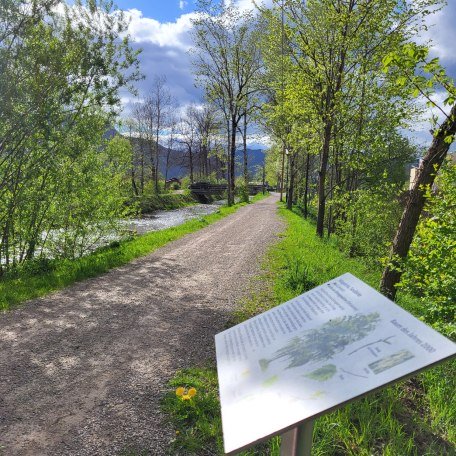 Baumpfad Rottach-Egern, © DER TEGERNSEE Baumpfad Rottach-Egern, © DER TEGERNSEE