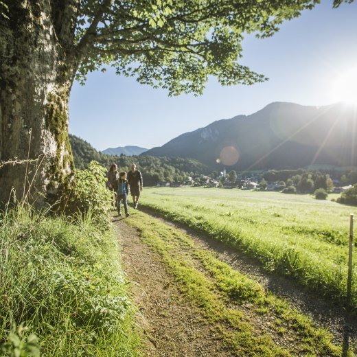 TTT_0816_HH_Familie_Wanderung_Kreuth-0024, &copy; TTT-Heckmair