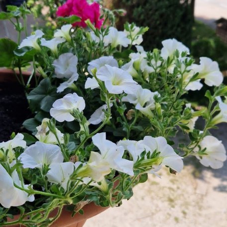 Balkon, &copy; im-web.de/ Tourist-Information Bad Wiessee