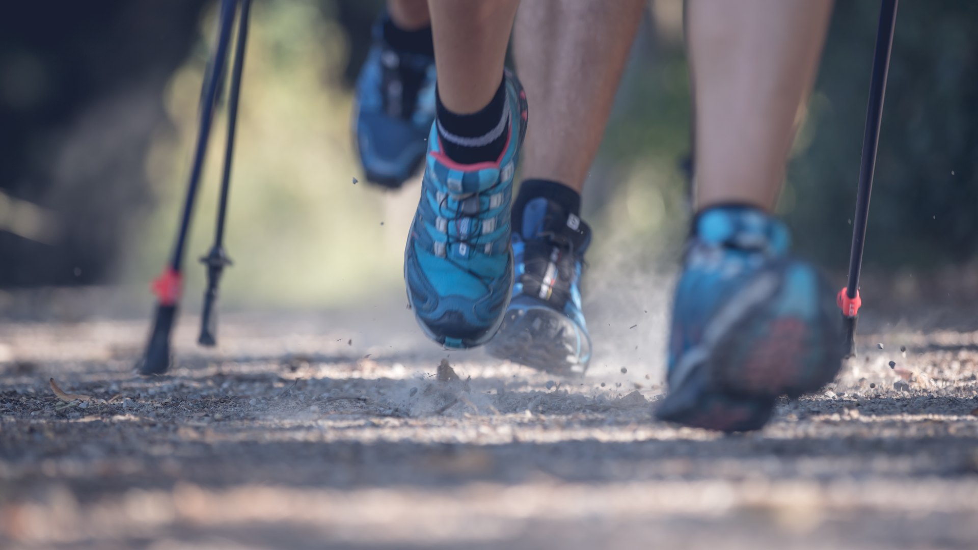 Mit dem richtigen Material gehts beim Nordic Walking am Tegernsee auch mal flotter voran., © Hansi Heckmair