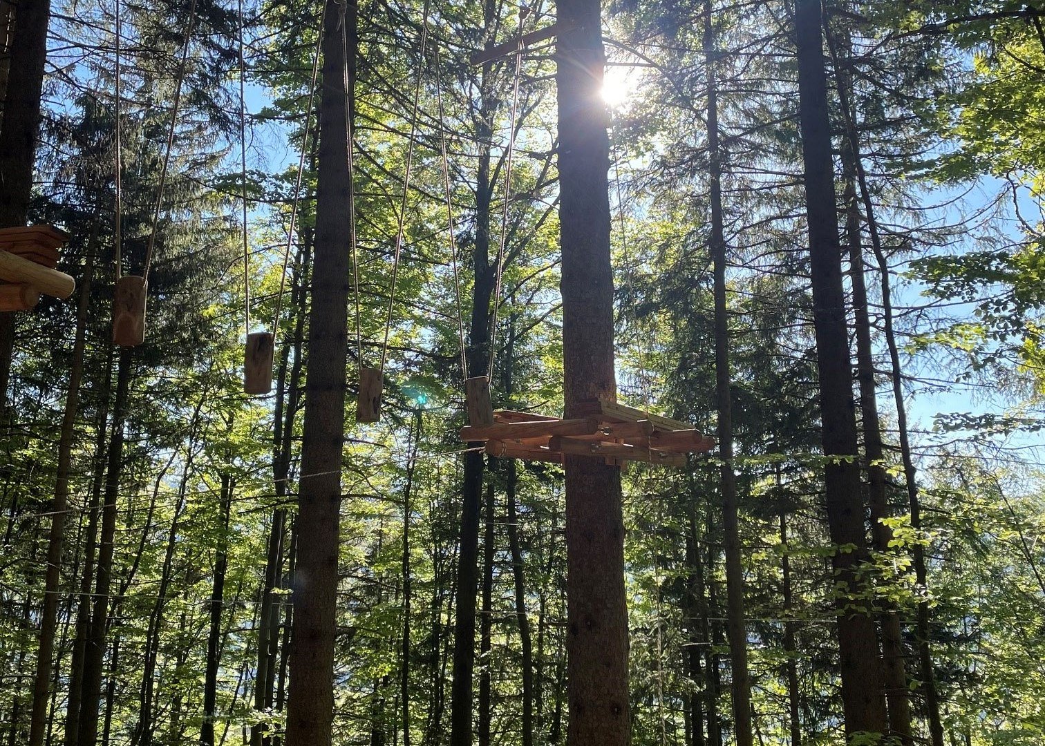 kletterwald-wallbergmoos, &copy; Jens Zimmermann