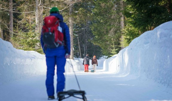 Rodelbahn Bad Wiessee, &copy; Alpenregion Tegernsee Schliersee
