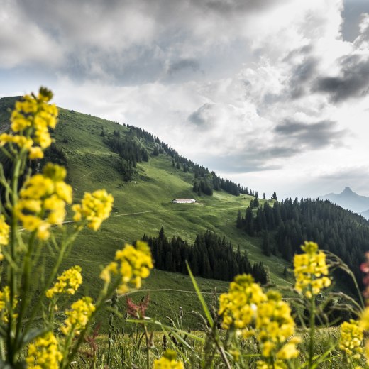 Pauschalangebote Kreuther Bergsteigerdorf, © Dietmar Denger 