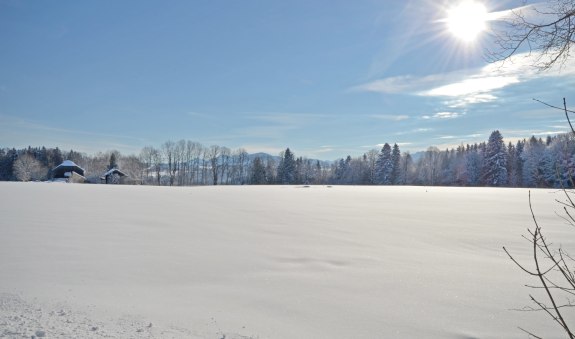 Thanner Loipe, &copy; Alpenregion Tegernsee Schliersee