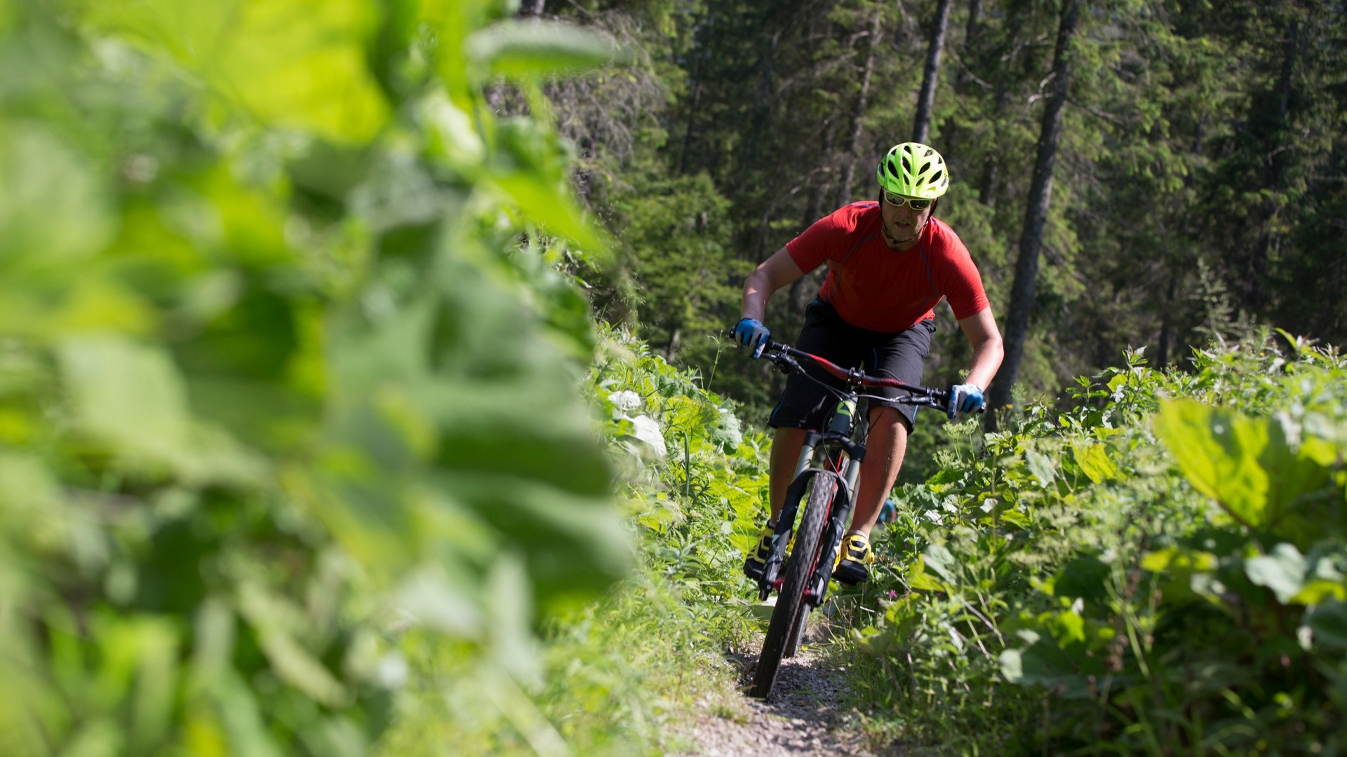 Bike Trail, &copy; Der Tegernsee (Florian Liebenstein)