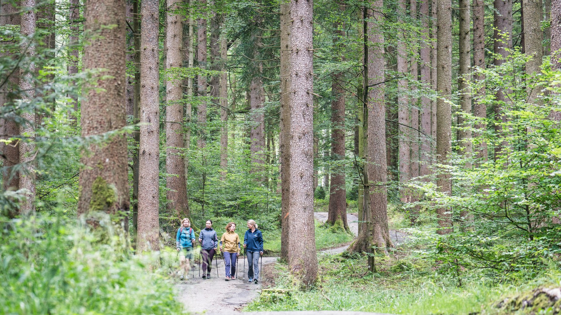 Heilklima © Der Tegernsee, Dietmar Denger (2), © TTT Dietmar Denger Heilklima © Der Tegernsee, Dietmar Denger (2), © TTT Dietmar Denger