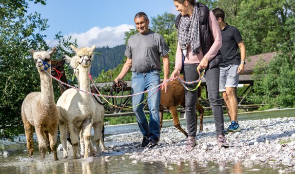 Alpaka Wanderungen am Tegernsee, &copy; Der Tegernsee