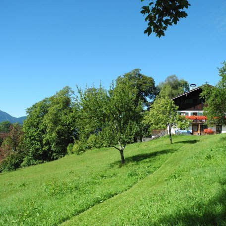 Natur pur, © Ferienhaus Ingerlhof