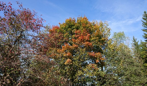 Naturschauspiel_14_1, © Der Tegernsee Naturschauspiel_14_1, © Der Tegernsee