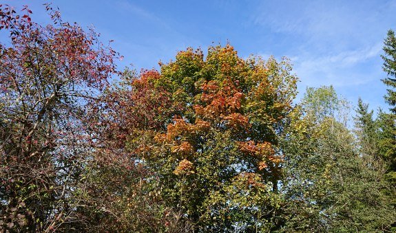 Naturschauspiel_14_1, © Der Tegernsee Naturschauspiel_14_1, © Der Tegernsee