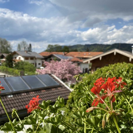 Ausblick, © im-web.de/ Tourist-Information Rottach-Egern