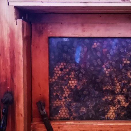 Lehrbienenstand Gmund Bild 5, © DER TEGERNSEE I.Munstermann Lehrbienenstand Gmund Bild 5, © DER TEGERNSEE I.Munstermann