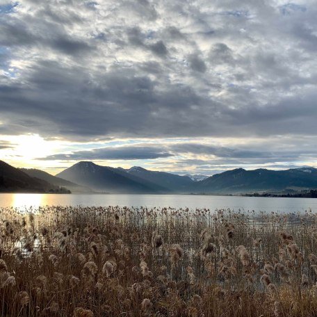 Stimmung am Seeuferweg bei Kaltenbrunn (ca. 5 min Fußweg von der FeWo), © im-web.de/ Tourist-Information Gmund am Tegernsee