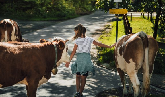 Naturschauspiel_Kreuth_11_4, © Julian Rohn Naturschauspiel_Kreuth_11_4, © Julian Rohn