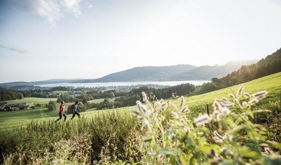 Auf einfachen Wandertour rund um den Tegernsee erklimmen Sie die bayerischen Berge auf gemütliche Art und Weise., © Christoph Schempershofe