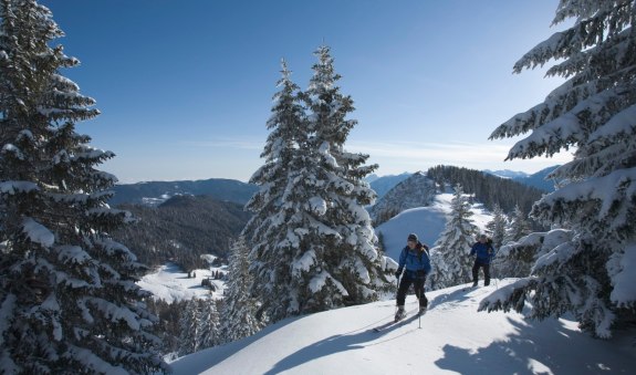 Hirschberg - Ostgipfel, © Tegernseer Tal Tourismus GmbH