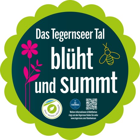 Bl&uuml;hwieseschild, der Tegernsee