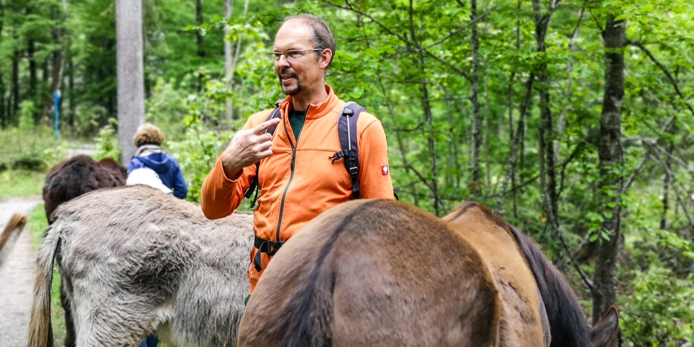 Eselwanderung im Bergsteigerdorf Kreuth, © Der Tegernsee Eselwanderung im Bergsteigerdorf Kreuth, © Der Tegernsee