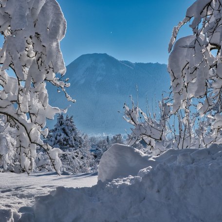 Aussicht auf Wallberg, © im-web.de/ Tourist-Information Bad Wiessee