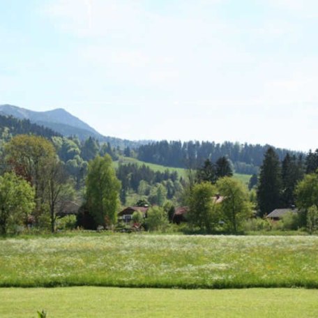 Ausblick vom Haus auf die Berge, &copy; Wiefarn Apartments