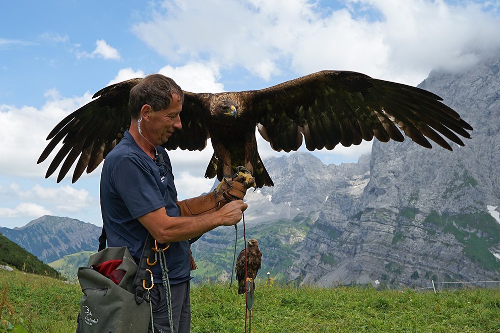 Falkenhof_Paul_Klima_Steinadler_Filmdreh_Detail, &copy; Julia Keck