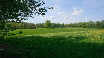 Mit Schwung &uuml;ber die Berge, &copy; BR Willy Kravanja