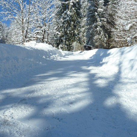 Rodelbahn_Hirschberg, © Kimpf