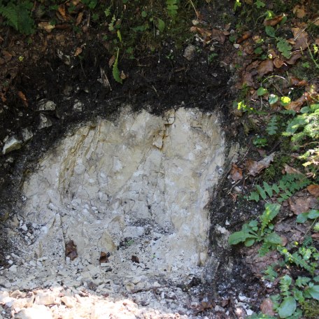 Bodenerlebnispfad Schwarzenbachtal, &copy; Jennifer Hanschke_Wasserwirtschaftsamt Rosenheim