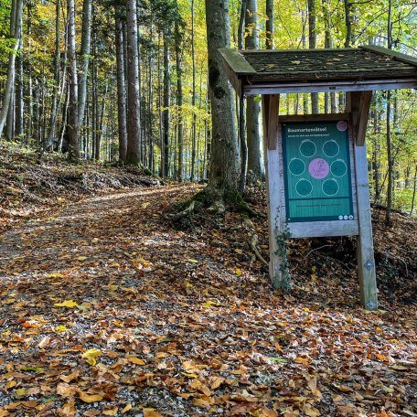 ttt_1123_mn_waldlehrpfad-laerchenwald_tegernsee_0033, &copy; Der Tegernsee (Maria Nopper)