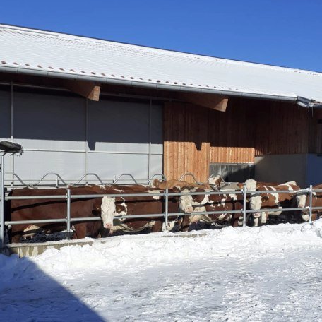 Stall  Auslauf im Winter, © ©Glasl