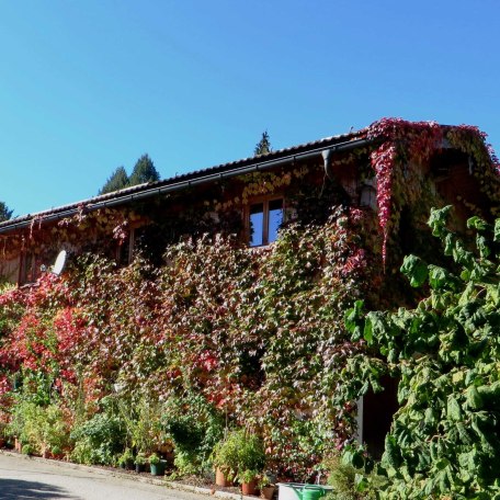 Blick auf das FeWo-Gebäude im Herbst, © im-web.de/ Tourist-Information Gmund am Tegernsee