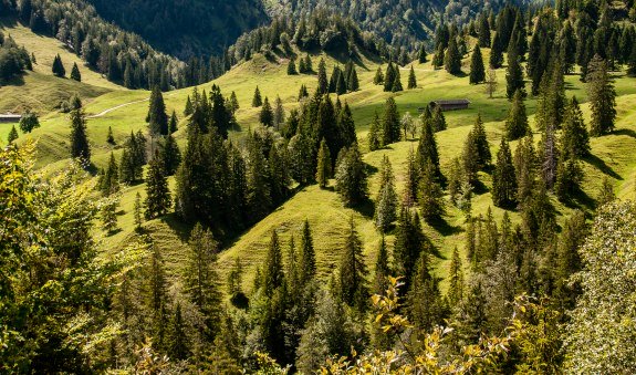 Natürlich! Kreuth. Almwanderung, © DER TEGERNSEE