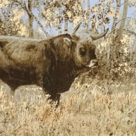 Werner Härt.1, © Werner Härtl