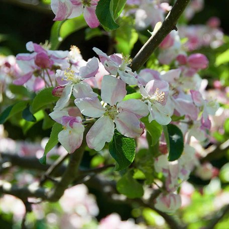 Landhaus Friedrichsruh -  Ferienwohnungen in Bad Wiessee, &copy; GERLIND SCHIELE PHOTOGRAPHY TEGERNSEE