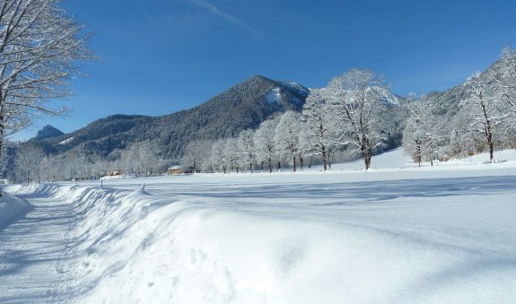 Blick zum Hirschberg, © Tegernseer Tal Tourismus GmbH