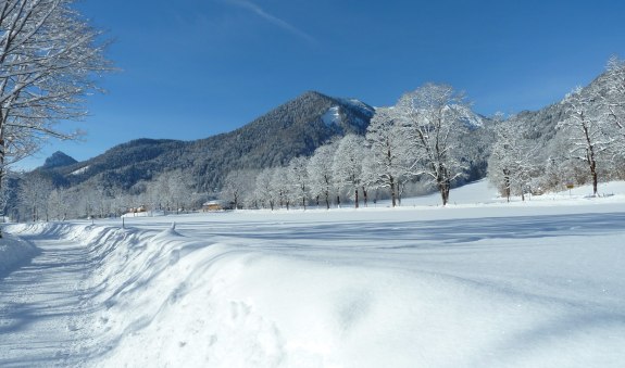 Blick zum Hirschberg, &copy; Tegernseer Tal Tourismus GmbH