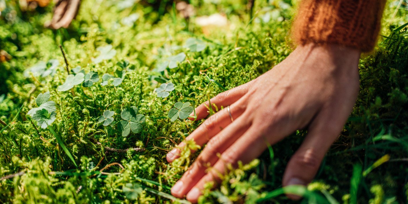 TTT_0823_JR_Waldbaden_Kreuth-0035, &copy; JR