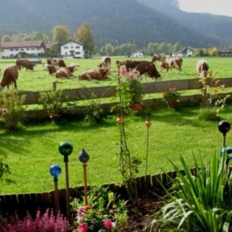 https://d1pgrp37iul3tg.cloudfront.net/objekt_pics/obj_full_31544_015.jpg, © im-web.de/ Tourist-Information Rottach-Egern