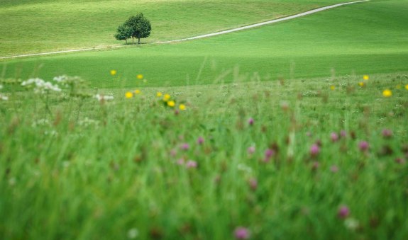 Holzkirchen, © Alpenregion Tegernsee Schliersee Holzkirchen, © Alpenregion Tegernsee Schliersee