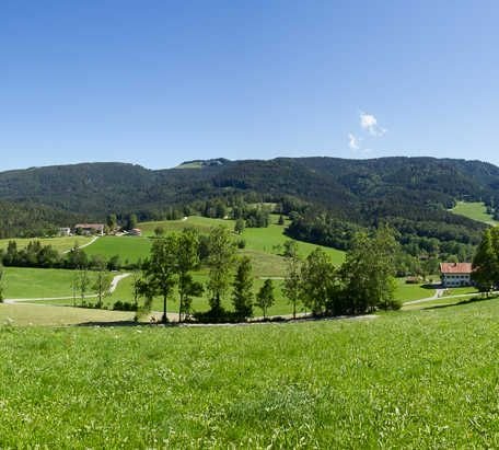 Natur pur, © im-web.de/ Tourist-Information Gmund am Tegernsee