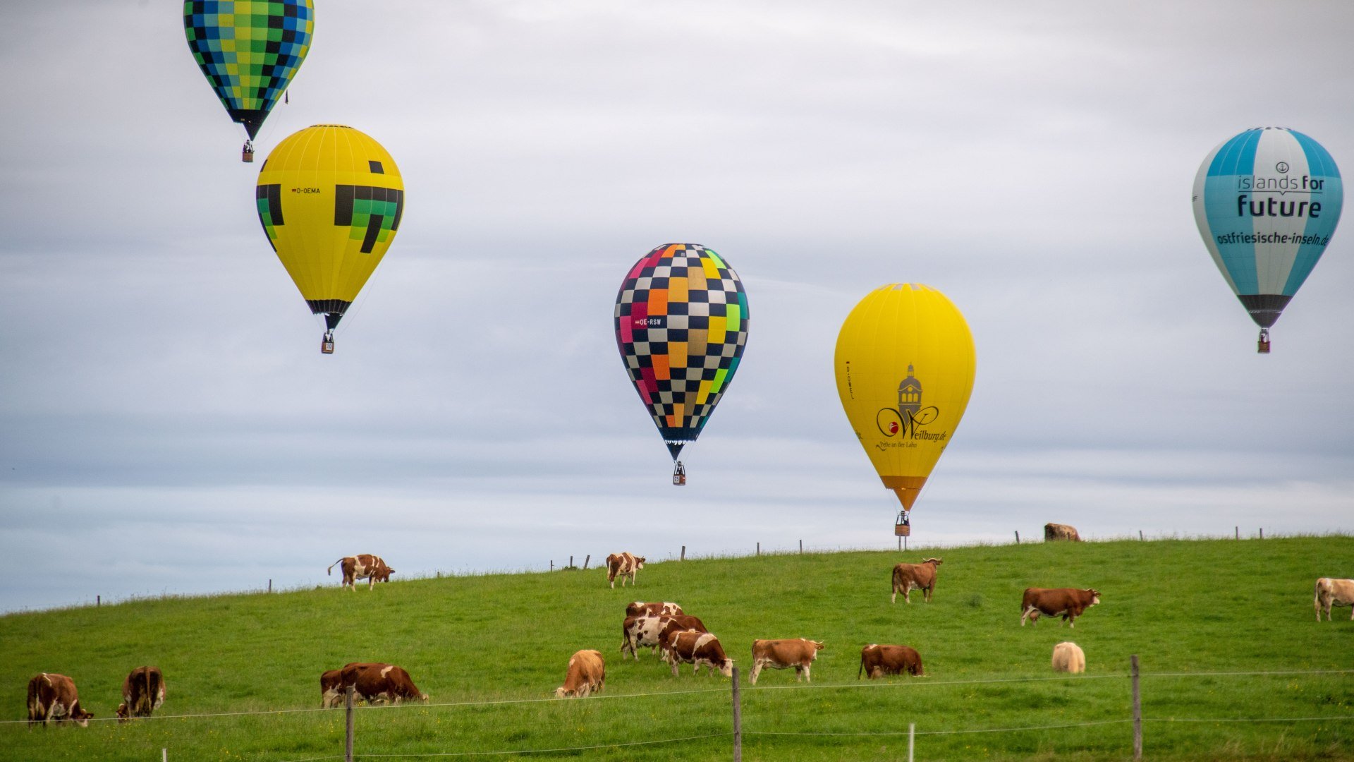 Headerbild 2026_ DM Heissluftballon DER TEGERNSEE_Thomas Plettenberg_0072, © Thomas Plettenberg Headerbild 2026_ DM Heissluftballon DER TEGERNSEE_Thomas Plettenberg_0072, © Thomas Plettenberg