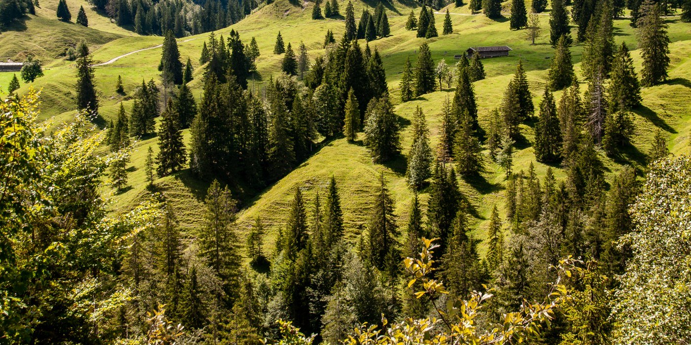 Natürlich! Kreuth. Almwanderung, © DER TEGERNSEE